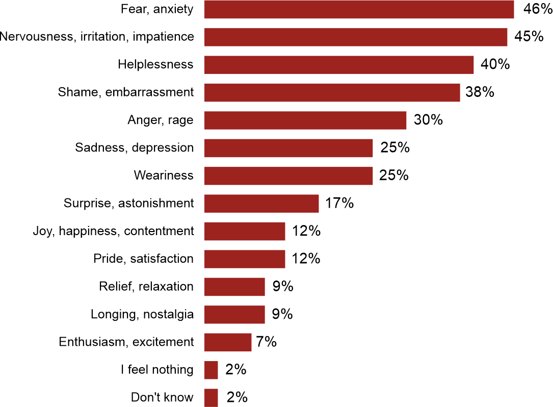 Figure 2. How do you feel when you think about the current situation in Poland?