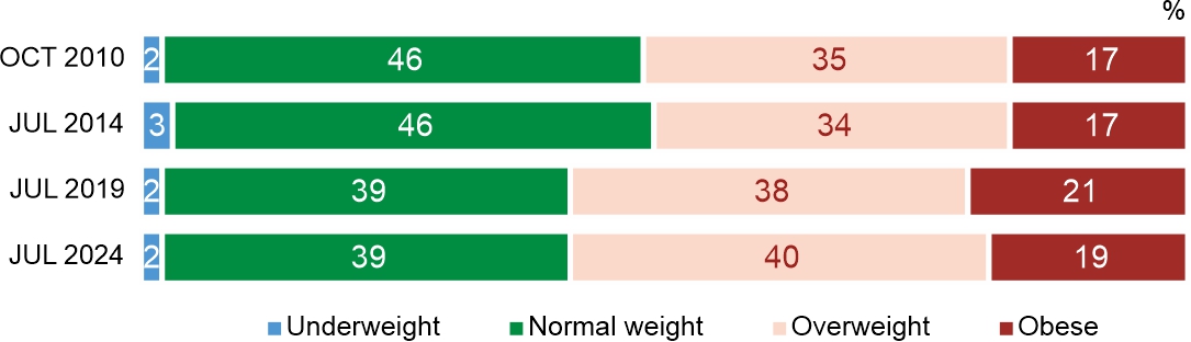 Figure 4. Classification of respondents according to the body mass index (BMI)